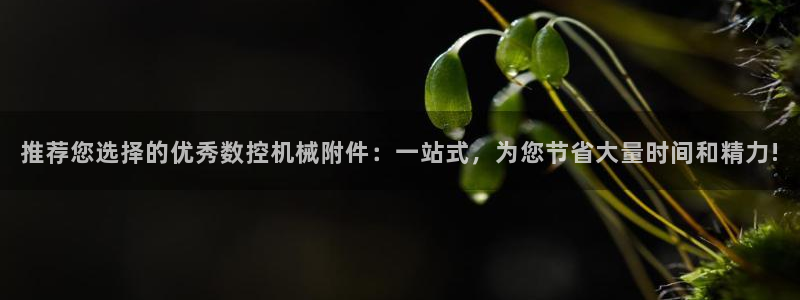 天辰娱乐平台地址在哪里:推荐您选择的优秀数控机械附件:一站式,为您节省大量时间和精力!
