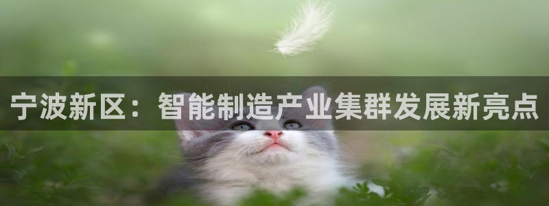 天辰 娱乐:宁波新区:智能制造产业集群发展新亮点