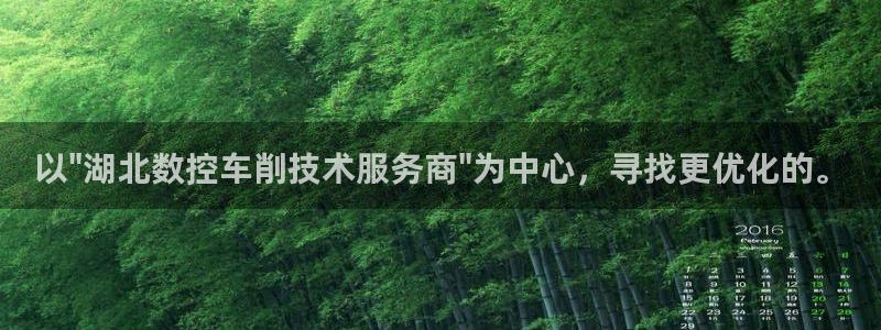 天辰娱乐鱼刺:以\