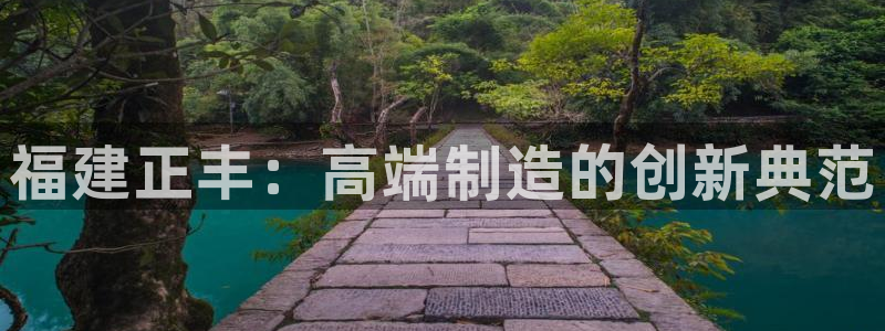 天辰娱乐728567:福建正丰:高端制造的创新典范