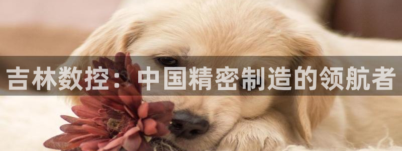 天辰娱乐下载地址:吉林数控:中国精密制造的领航者