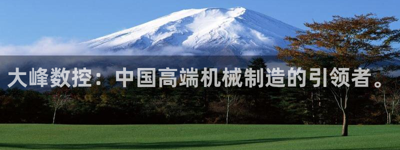 天辰娱乐44516:大峰数控:中国高端机械制造的引领者。
